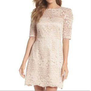 NWT Chelsea28 Ballerina Pink Lace Dress